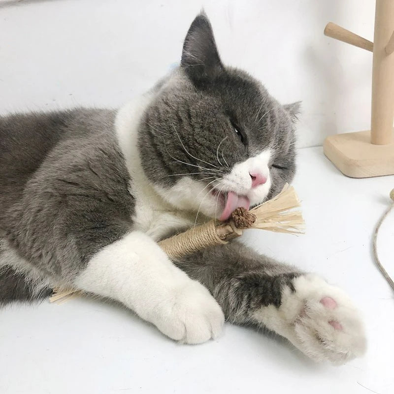 Cat Teething Stick Wooden Sky Polygonum Stick Chewing Cat Toys Teeth Cleaning Tartar Fresh Breath Pet Supplies Cat New Year Gift