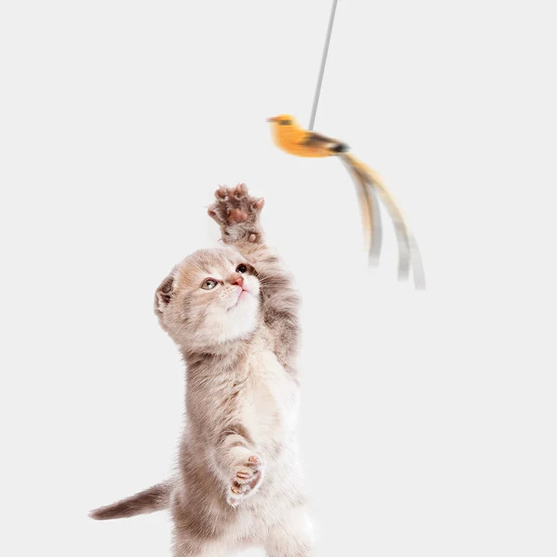 Simulation bird Cat Toy Retractable Hanging Door Type Cat Scratch Rope Mouse Funny Self-hey Interactive Mouse Toy Pet Supplies