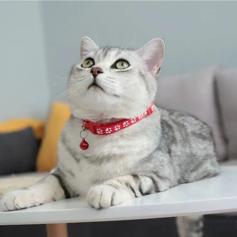 1Pc Colorful Cute Bell Collar Adjustable Buckle Cat Collar Pet Supplies Footprint Personalized Kitten Collar Small Dog Necklace